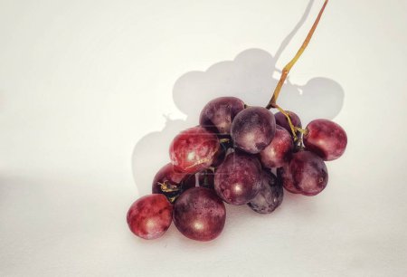 Téléchargez les photos : Un brin de raisin rouge est photographié avec un concept d'ombre sur l'objet photo isolé sur un fond blanc - en image libre de droit