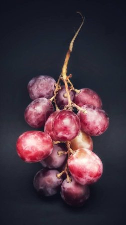 Téléchargez les photos : Vue rapprochée un brin de vitis vinifera ou de raisins a été photographié avec le concept de donner un effet de lumière aux raisins - en image libre de droit