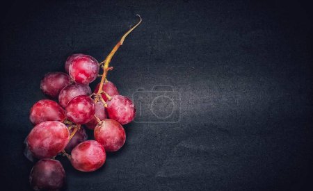 Photo for A sprig of grapes was photographed with the concept of giving a light effect to the grapes, negative space. - Royalty Free Image