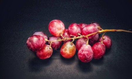 Photo for A sprig of grapes was photographed with the concept of giving a light effect to the grapes isolated on a black background. - Royalty Free Image
