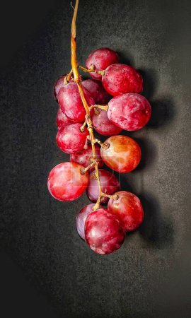 Photo for A sprig of grapes was photographed with the concept of giving a light effect to the grapes - Royalty Free Image