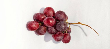 Photo for A sprig of red grapes or vitis vinifera is photographed with a shadow concept on the photo object isolated on a white background. Top view - Royalty Free Image