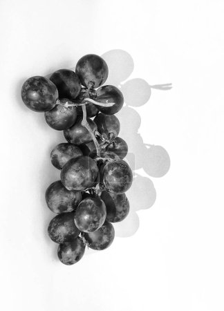 Photo for Black and white photo with an abstract photo concept for the background, Portrait a sprig of grapes or vitis vinifera isolated on white background - Royalty Free Image