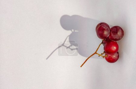 Photo for Vitis vinifera is photographed with a shadow concept on the photo object isolated on a white background - Royalty Free Image
