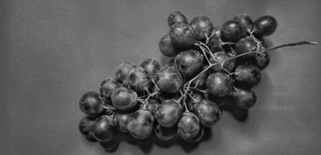 Photo for Black and white photo with an abstract photo concept for the background, Portrait a sprig of grapes or vitis vinifera. Top view - Royalty Free Image