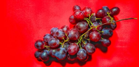 Foto de Vitis vinifera o uvas rojas fotografiadas desde un ángulo alto y aisladas sobre fondo rojo. - Imagen libre de derechos