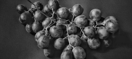 Photo for Black and white photo with an abstract photo concept for the background, Portrait a sprig of grapes or vitis vinifera. - Royalty Free Image