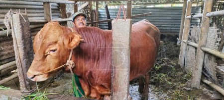 Foto de Magelang, Indonesia - 20 de abril de 2024: La vaca marrón es grande, casi más alta que un humano adulto. Esta vaca será vendida para ser utilizada como animal de sacrificio durante el Eid al-Adha musulmán.. - Imagen libre de derechos