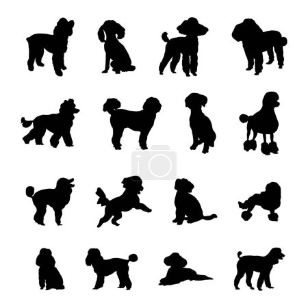 Téléchargez les illustrations : Silhouettes chien caniche, collection silhouette chien caniche. - en licence libre de droit