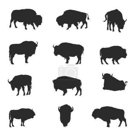 Illustration for Bison buffalo silhouettes, Bison buffalo animals silhouette - Royalty Free Image