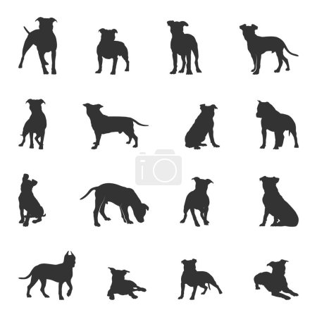 Ilustración de American staffordshire terrier siluetas, Staffordshire terrier silueta - Imagen libre de derechos