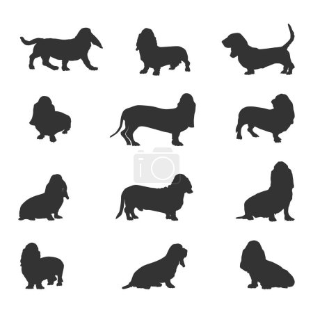 Ilustración de Basset hound dog silhouettes, Basset hound silhouette, Basset hound dog SVG , Basset hound dog vector - Imagen libre de derechos