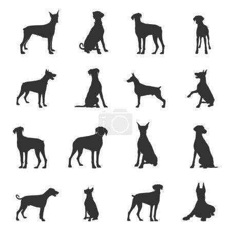 Illustration for Dobermann dog silhouettes, Dobermann silhouette, Dobermann svg, Dobermann vector - Royalty Free Image