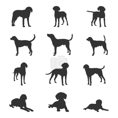 Illustration for American foxhound dog silhouettes, American foxhound silhouette, American foxhound Svg, American foxhound vector - Royalty Free Image