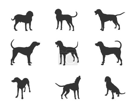 Ilustración de Siluetas de perro coonhound inglés americano, silueta de coonhound inglés americano, coonhound inglés americano SVG. Americano inglés coonhound perro vector - Imagen libre de derechos