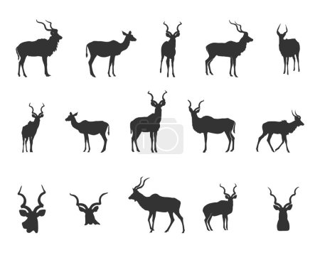 Ilustración de Kudu Silhouette, Kudu Horn Silhouette, Antlers Silhouette, Kudu Head, Kudu SVG , Kudu Head Silhouettes - Imagen libre de derechos