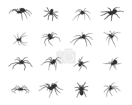 Ilustración de Silueta de araña, Spider SVG, icono de vector de araña. - Imagen libre de derechos