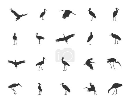 Silhouette cigogne, Silhouette vectorielle cigogne, Silhouette cigogne volante, Cigogne SVG, Clip art de la silhouette cigogne