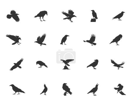 Téléchargez les illustrations : Silhouette corbeau, Silhouette corbeau, Silhouette corbeau et corbeau, Illustration vectorielle corbeau - en licence libre de droit