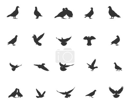 Illustration for Pigeon silhouette, Pigeon SVG, Pigeon vector illustration, Pigeon bird silhouette - Royalty Free Image