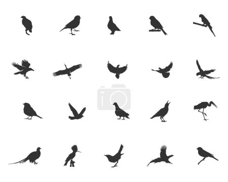 Téléchargez les illustrations : Silhouette d'oiseau, Silhouette d'oiseau volant, Silhouettes d'oiseau, Clipart d'oiseau, Oiseaux SVG, Ensemble de vecteurs d'oiseaux, Éléments vectoriels - en licence libre de droit
