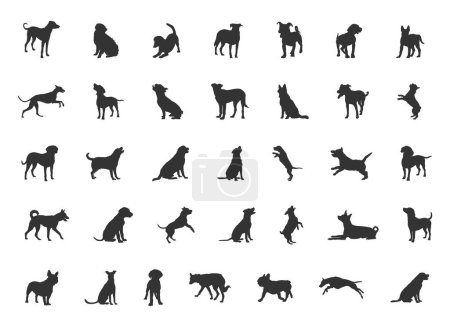 Dog silhouette, Dog silhouette collection, Dog breeds silhouettes, Dog animal SVG, Dogs vector illustration, Dogs icon