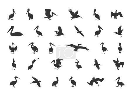 Téléchargez les illustrations : Silhouette pélican, Silhouette pélican brun, Pelican Svg, Silhouettes pélican, Silhouettes d'oiseaux, Vecteur pélican - en licence libre de droit