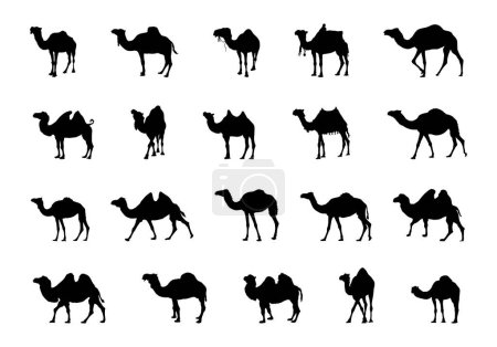 Téléchargez les illustrations : Silhouettes de chameau, Ensemble silhouette de chameau, Illustration vectorielle de chameau, Camel Svg, Clipart de chameau - en licence libre de droit