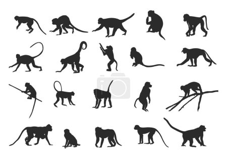Siluetas de mono, colección de siluetas de mono, silueta de mono sentado, svg de mono, clipart de mono, ilustración de vectores de mono