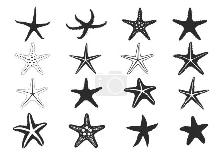 Illustration for Starfish silhouette, Starfish icon, Starfish SVG,  Starfish outline, Tropical starfish SVG, Starfish bundle set. - Royalty Free Image
