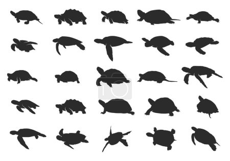Illustration pour Silhouette de tortue, Silhouettes de tortue marine, Tortue SVG, Jeu d'icônes de tortue, Clipart de tortue, Jeu d'animaux sous-marins. - image libre de droit
