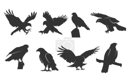 Hawk silhouettes, Flying hawk silhouette, Hawk svg, Tribal hawk silhouette, Hawk vector illustration