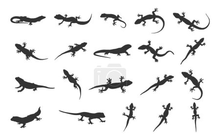 Téléchargez les illustrations : Silhouette lézard, Silhouette lézard Gecko, Silhouettes Gecko, Gecko lézard svg, Lizard svg, Clipart lézard Gecko, Ensemble vectoriel lézard - en licence libre de droit