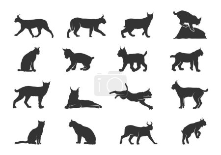 Téléchargez les illustrations : Silhouettes de chat Lynx, Silhouette Lynx, Lynx svg, Lynx cat svg, Silhouettes de chat, Illustration vectorielle Lynx - en licence libre de droit