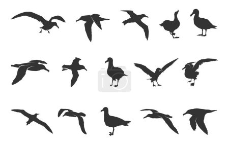Ilustración de Flying albatross silhouette, Albatross silhouettes, Albatross bird silhouette, Albatross svg, Albatross bird vector illustration - Imagen libre de derechos