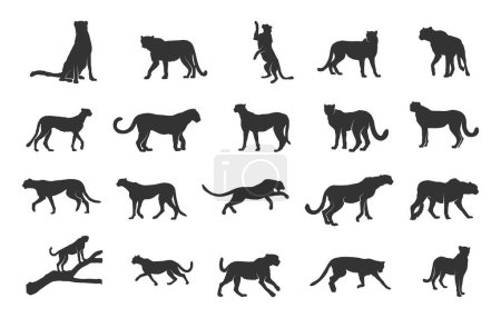 Silueta de guepardo, Siluetas de ejecución de guepardo, Cheetah svg, Cheetah vector ilustración