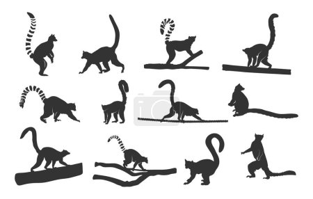 Lemur Silhouette, Ringschwanzlemur Silhouette, Lemur Silhouette Lemur svg, Ringschwanzlemur svg, Lemur Vektor Set