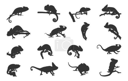 Chameleon silhouettes, Chameleon vector illustration, Chameleon svg, Chameleon animal icon, Chameleon silhouette