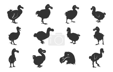 Dodo Silhouetten, Dodo Vogel Silhouette, Dodo Vogel svg, Dodo svg, Dodo Vogel Vektor Illustration