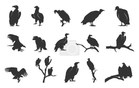 Silhouette de vautour, Silhouette de vautour assis, Vautour svg, Clipart silhouette de vautour, Vautour Illustration vectorielle de vautour.