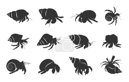 Hermit crab silhouettes, Hermit crab svg, Hermit silhouette, Crab svg, Hermit crab vector illustration