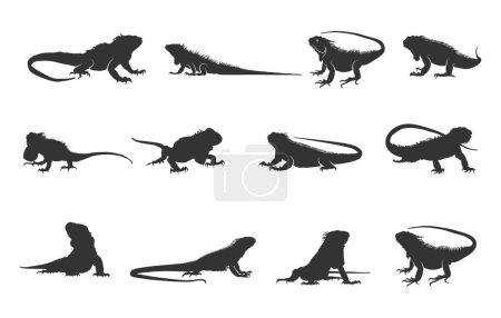 Iguana silhouette, Iguana svg, Iguana silhouettes, Iguana vector illustration