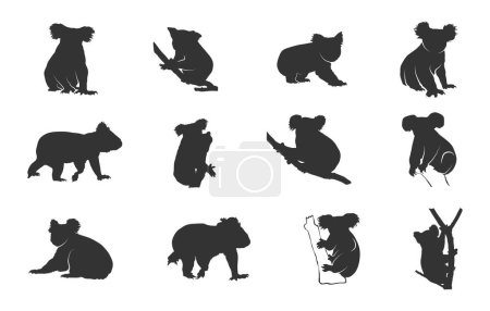 Koala Silhouetten, Koala Bär Silhouette, Koala svg, Koala Bär svg, Koala Silhouette, Koala Bär Vektor Illustration