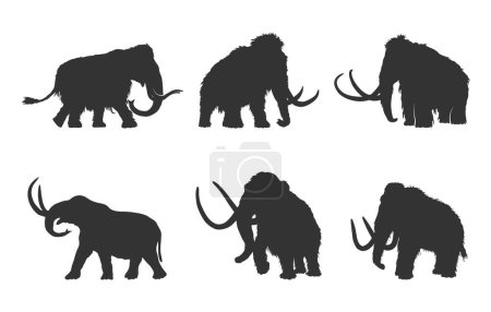 Siluetas de mamut, silueta de mamut lanudo, svg de mamut, silueta de mamut, ilustración de vector de mamut