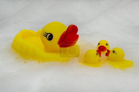 Foto de Un pato de goma amarillo grande con un pico rojo y ojos expresivos está rodeado por tres patos de goma más pequeños contra un fondo de espuma blanca. - Imagen libre de derechos