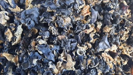 Photo for Texture of dried oyster mushrooms - Royalty Free Image