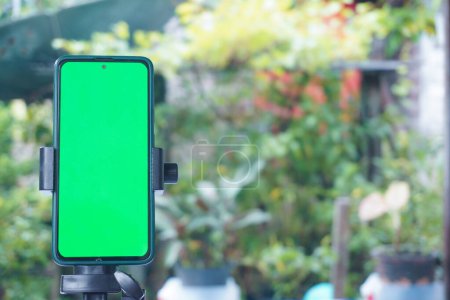 Photo for Smartphone on a tripod with green screen on it. mobile smart phone with chroma key green screen, new technology concept. Using the tripod to hold the mobile phone - Royalty Free Image