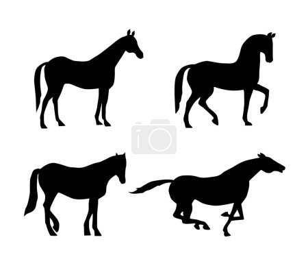 Téléchargez les photos : Collection vectorielle de silhouette de cheval - en image libre de droit