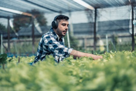 Photo for Farming worker enhance healthy work-life balance by listening to music and moving body to the beat and rhythm. Designing flexible working schedule, taking breaks to rest, recharge energy and vitality - Royalty Free Image
