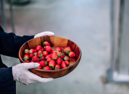 Photo for A revolutionary and advanced automated indoor strawberry farm delivers year-round high yields. Efficiently controls climate, temperature, humidity, and evaporation, ensuring top-quality produce. - Royalty Free Image